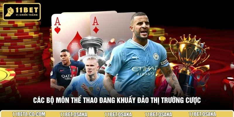 Các bộ môn thể thao đang khuấy đảo thị trường cược
